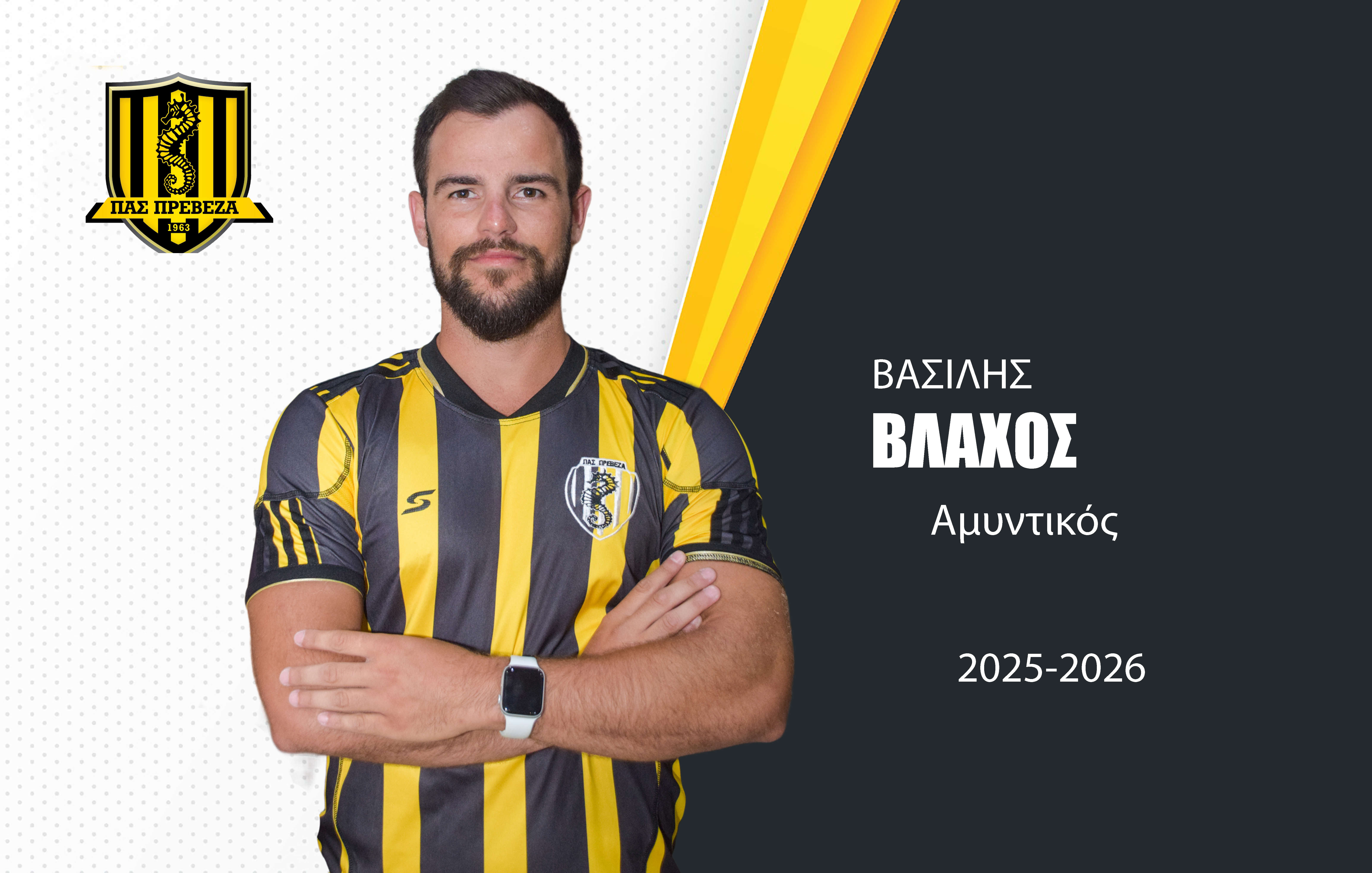 Βασίλης Βλάχος